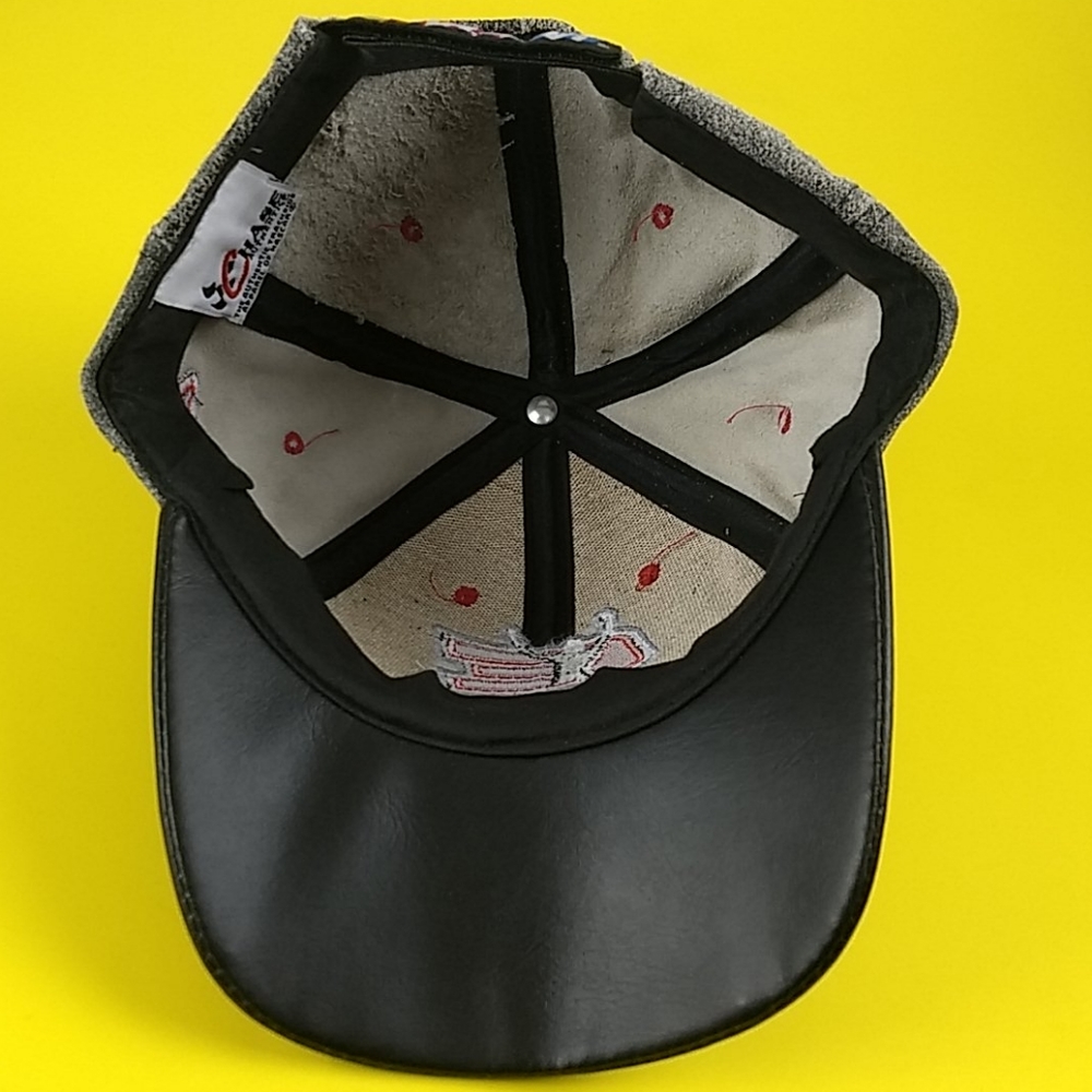 NWT Dale Earnhardt Sr. NASCAR Chase Authentics hat - Picture 9 of 16